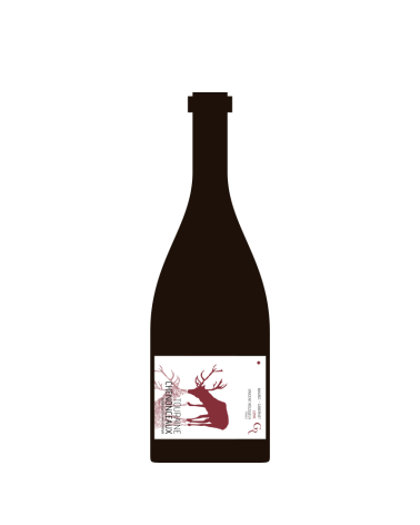 Touraine Chenonceaux Rouge Magnum